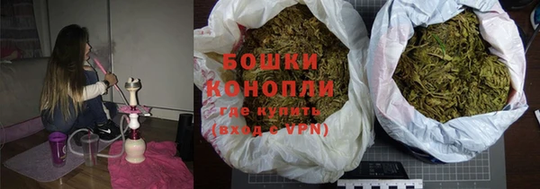 PSILOCYBIN Карталы