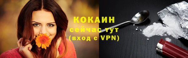 сатива Карпинск