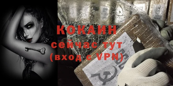 сатива Карпинск