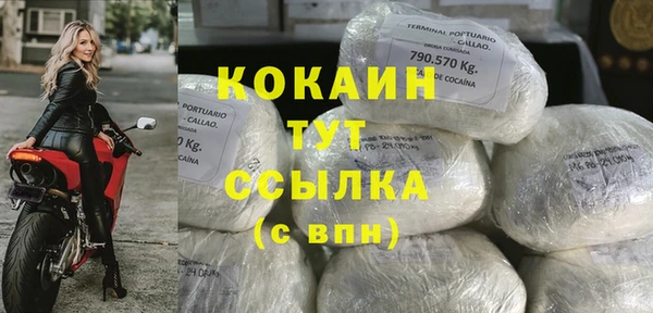 шишки Касимов