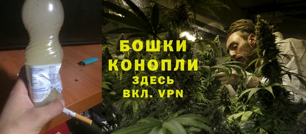 PSILOCYBIN Карталы