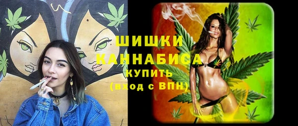 PSILOCYBIN Карталы