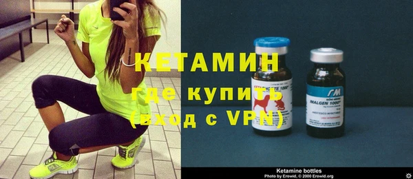 сатива Карпинск